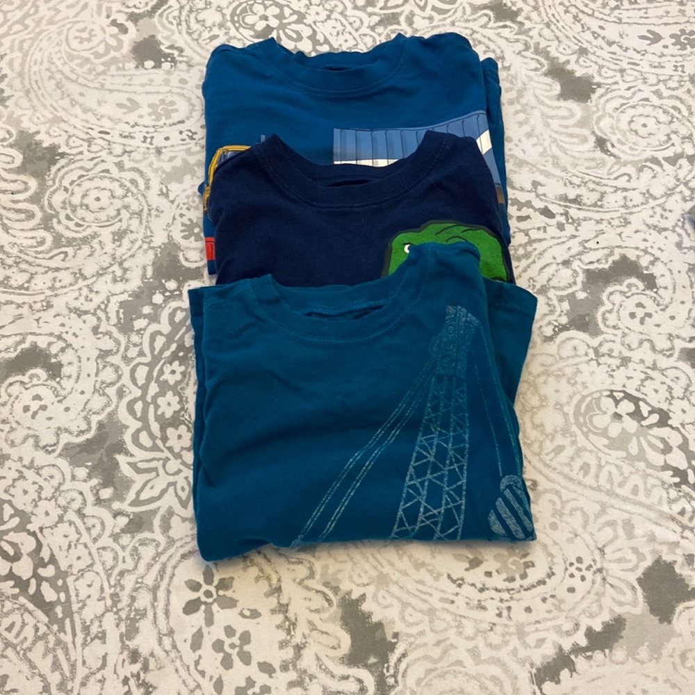 Set of 3 Carter’s long sleeve t-shirts size 2T